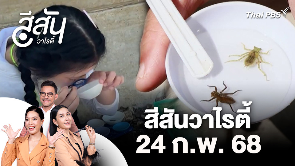 สีสันวาไรตี้ (24 ก.พ. 69)