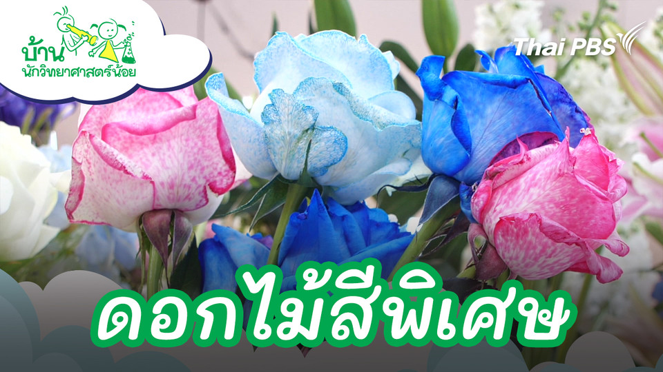 ดอกไม้สีพิเศษ