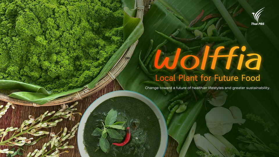 ผำ พืชแห่งอนาคต