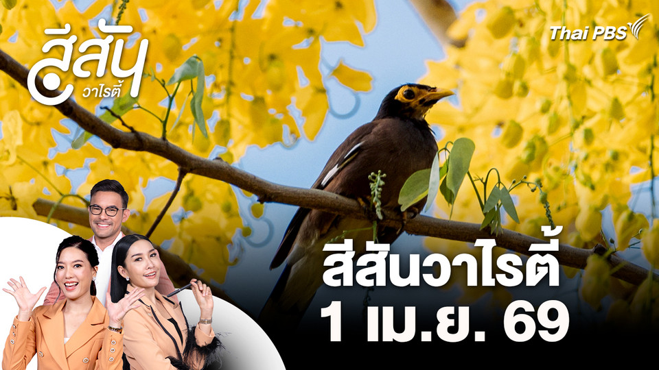 สีสันวาไรตี้ (1 เม.ย. 69)