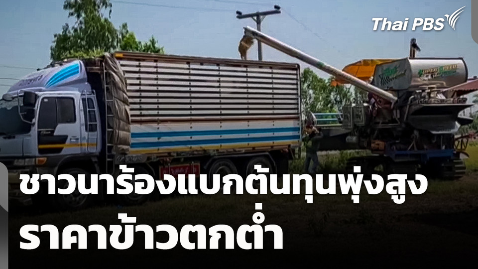 ชาวนาร้องแบกรับต้นทุนพุ่งสูง ราคาข้าวตกต่ำ