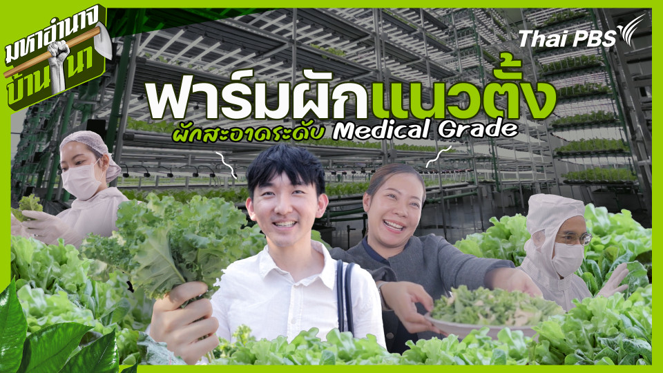 ฟาร์มผักแนวตั้ง ผักสะอาดระดับ Medical Grade