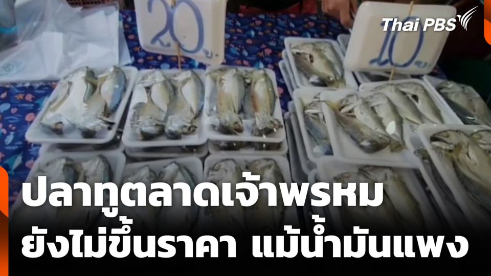 ปลาทูตลาดเจ้าพรหม ยังไม่ขึ้นราคา แม้น้ำมันแพง