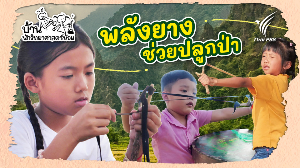 พลังยางช่วยปลูกป่า