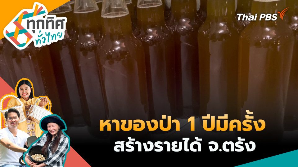 หาของป่า 1 ปีมีครั้งสร้างรายได้ จ.ตรัง