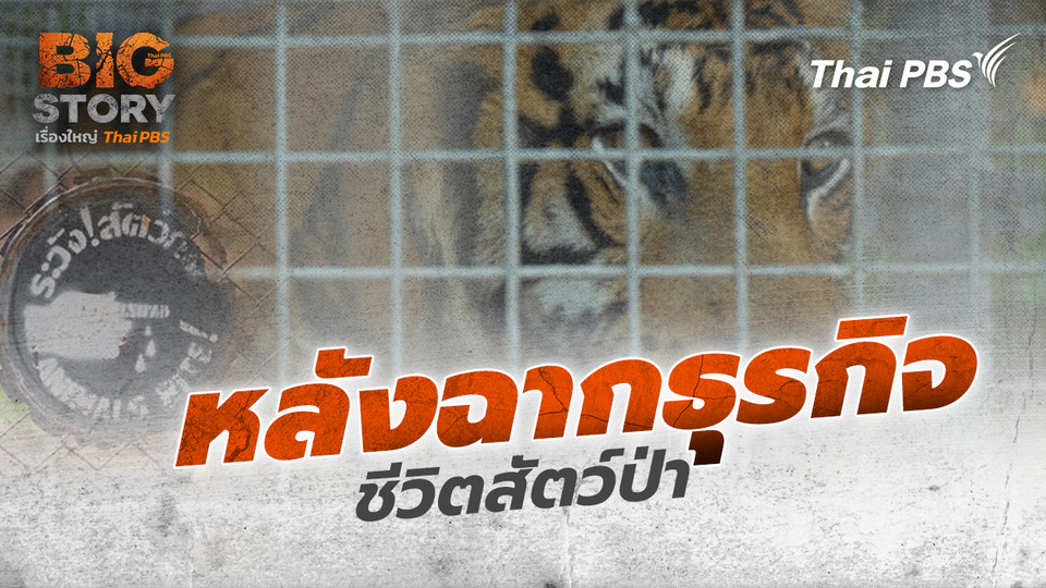 หลังฉากธุรกิจชีวิตสัตว์ป่า