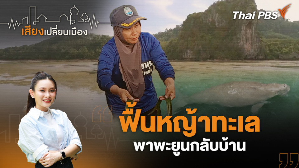 ฟื้นหญ้าทะเล พาพะยูนกลับบ้าน