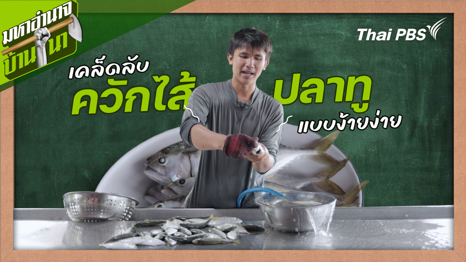 สูตรลับฉบับบ้านนา : เคล็ดลับควักไส้ปลาทูแบบง้ายง่าย