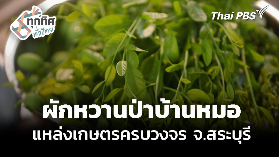 ผักหวานป่าบ้านหมอ แหล่งเกษตรครบวงจร จ.สระบุรี