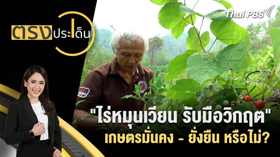 "ไร่หมุนเวียน รับมือวิกฤต" เกษตรมั่นคง - ยั่งยืน หรือไม่?