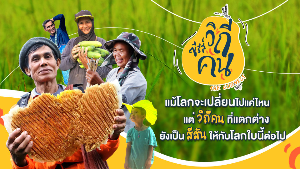 วิถีคนเก็บเห็ดโคน ต.สิงห์ อ.ไทรโยค จ.กาญจนบุรี
