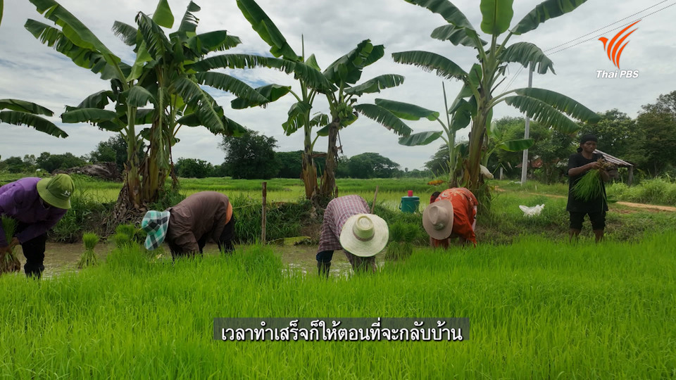 วิถีคนบ้านชีวังแคน อ.มัญจาคีรี จ.ขอนแก่น