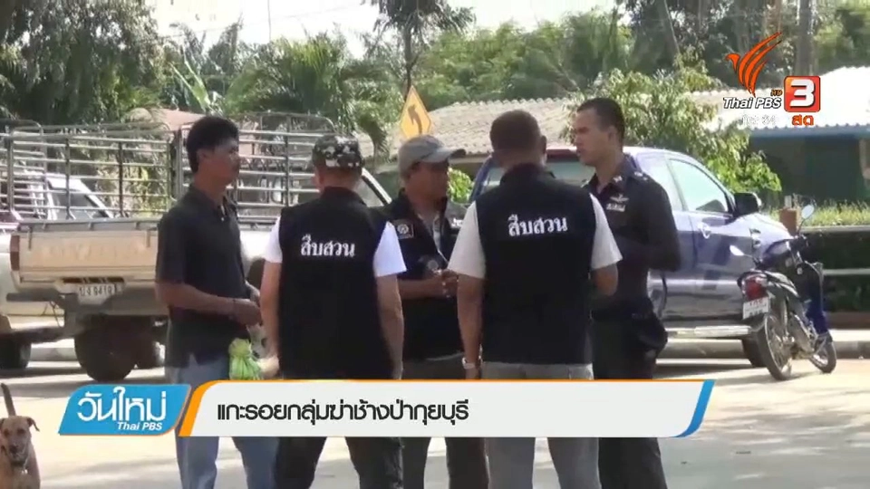 แกะรอยกลุ่มฆ่าช้างป่ากุยบุรี