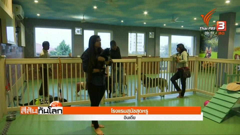 โรงแรมสุนัขสุดหรู