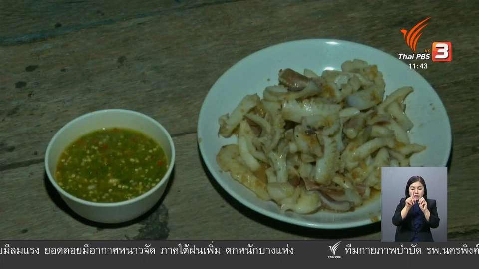 ตะลุยทั่วไทย : เหวี่ยงหมึกหอม