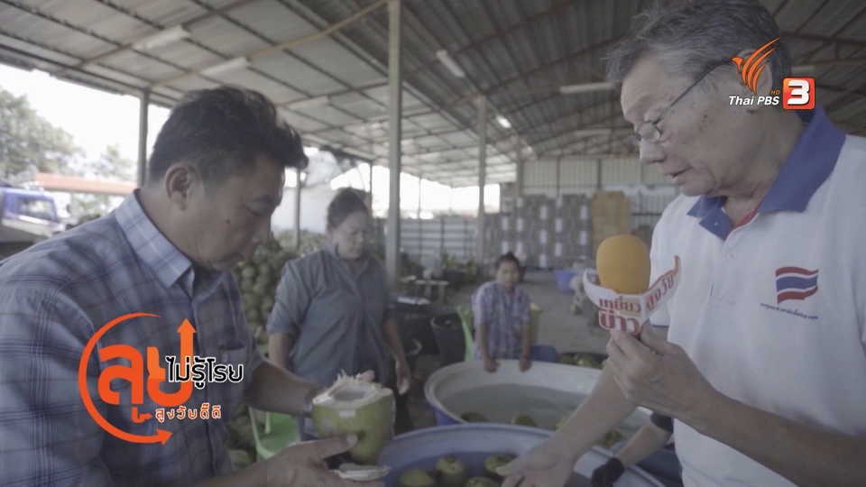 มะพร้าวไทยโกอินเตอร์