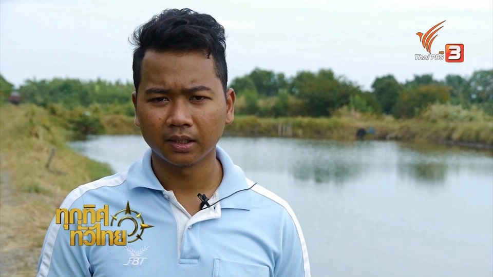 เลี้ยงปูดำแบบธรรมชาติ