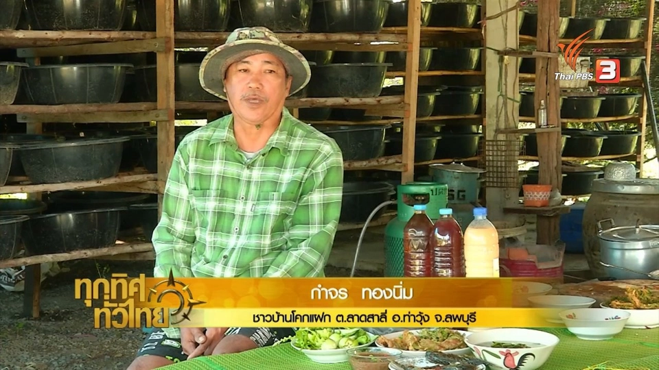 ผลิตน้ำจาวปลวกใช้ในนาข้าวแทนสารเคมี