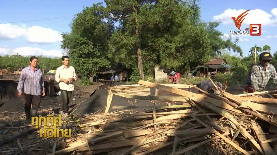 อาชีพเผาถ่านขาย