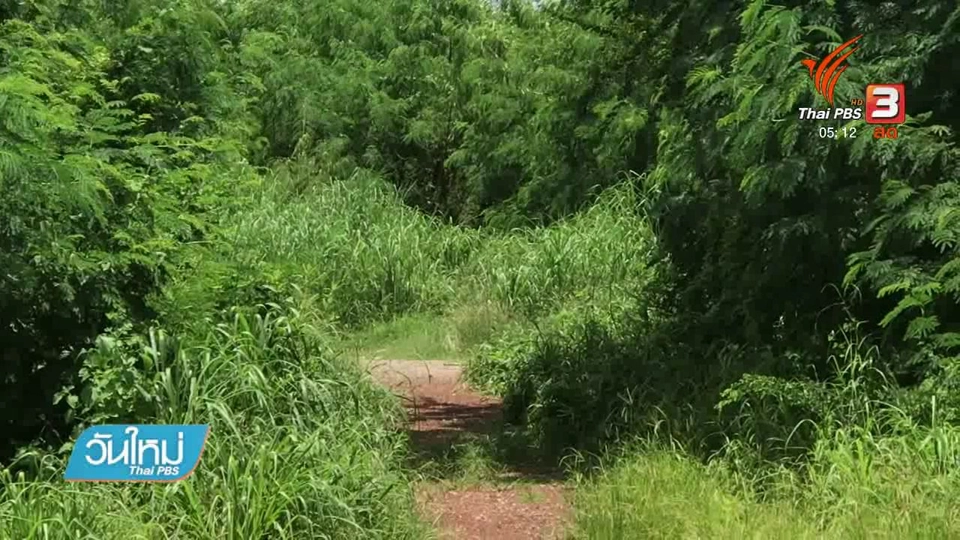 เร่งหาสาเหตุชายชาวรัสเซียเสียชีวิตกลางป่า