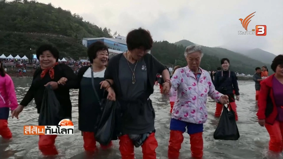 เทศกาลข้ามทะเลแหวกประจำปี