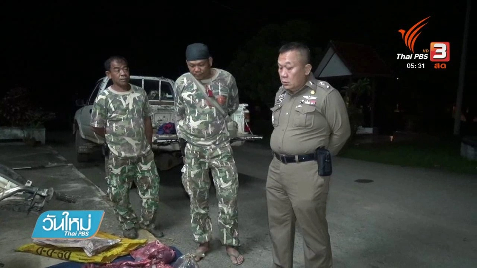 จับนายพรานล่าสัตว์ป่า จ.เพชรบูรณ์