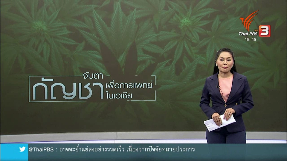 วิเคราะห์สถานการณ์ต่างประเทศ : มาเลเซียกับการใช้กัญชาทางการแพทย์ถูกกฎหมาย