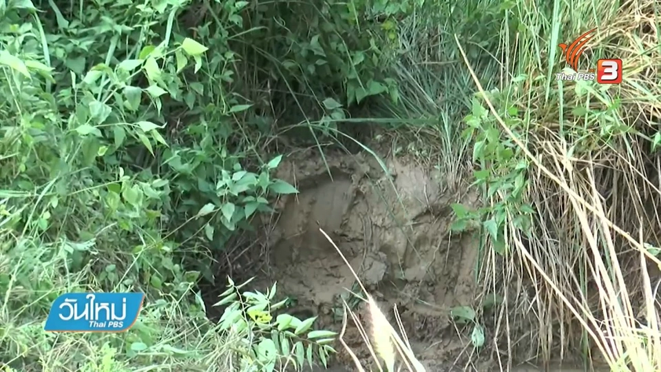 เตือนผู้ใช้ถนน ระวังขับรถชนช้างป่า