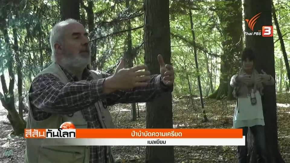 ป่าบำบัดความเครียด