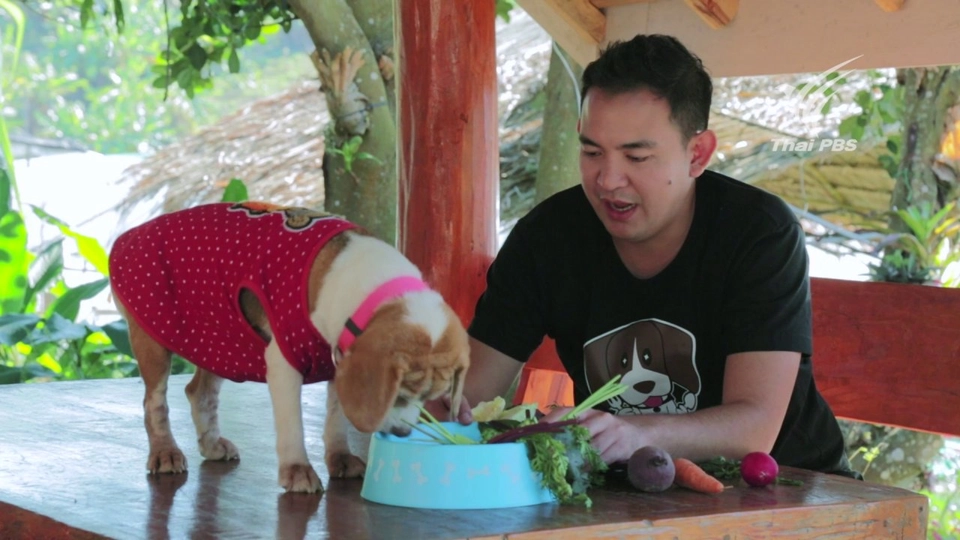 เมนูแบบผัก ๆ ของน้องไข่ดาว