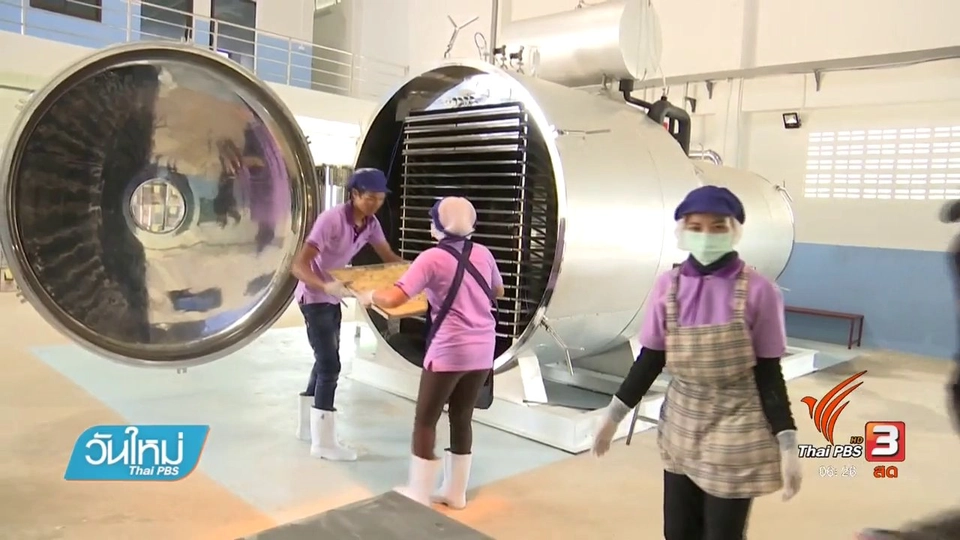 ทุเรียนสูญญากาศถูกปากคนจีน