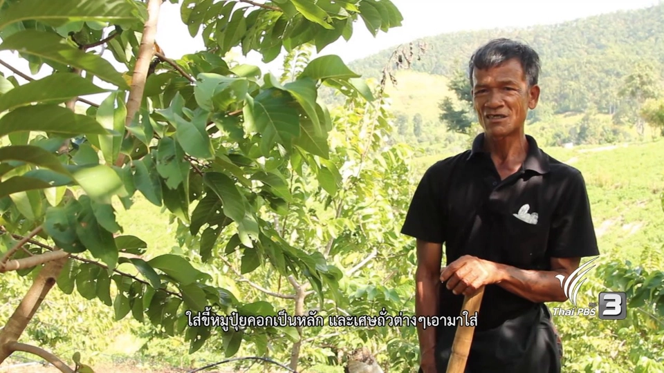 พ่อบุญเหล็ง สายแวว, ครอบครัวพอเพียงแห่งบ้านบาเลาะ และ รักษ์เมล็ดพันธุ์เพื่อชีวิต, ฟื้นชีวิตดิน คืนชีวิตดิน