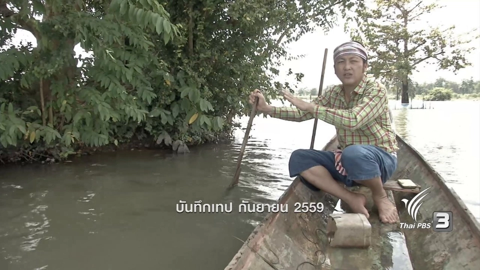 ตุ้มปลาบู่