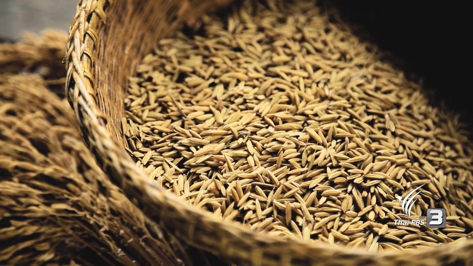 ลดต้นทุนเมล็ดข้าวและน้ำ