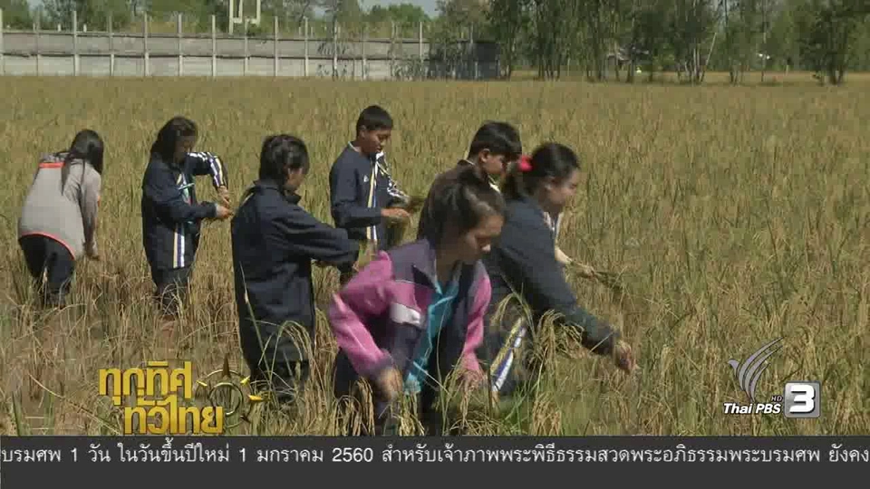 ประเด็นข่าว ( 21 ธ.ค. 59)