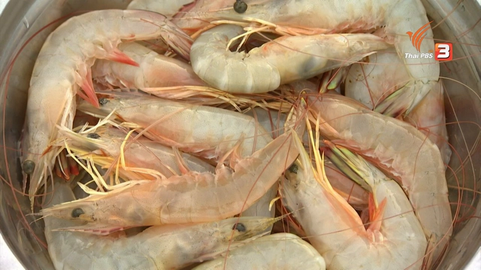 อวนกุ้งแชบ๊วย