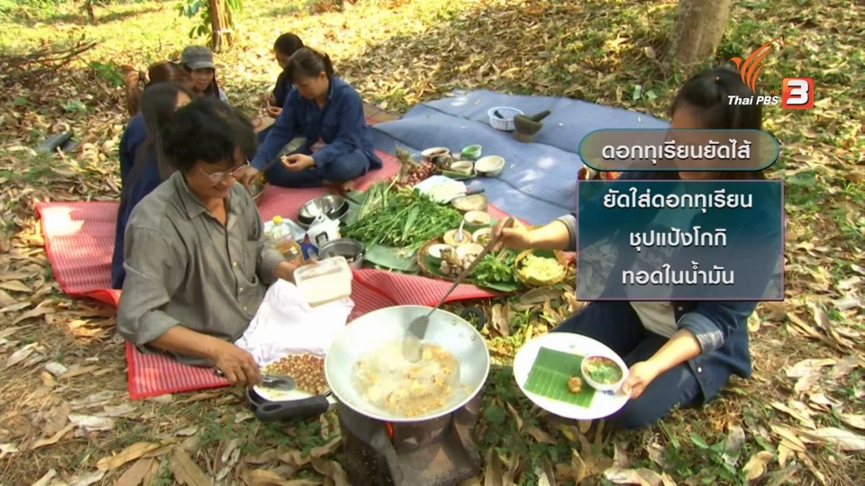 ตะลุยทั่วไทย : ดอกทุเรียน