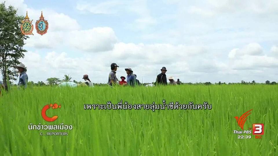 นักข่าวพลเมือง : กิจกรรม "ดำนา ลงแขก" เครือข่ายลุ่มน้ำชีตอนล่าง  จ.ร้อยเอ็ด