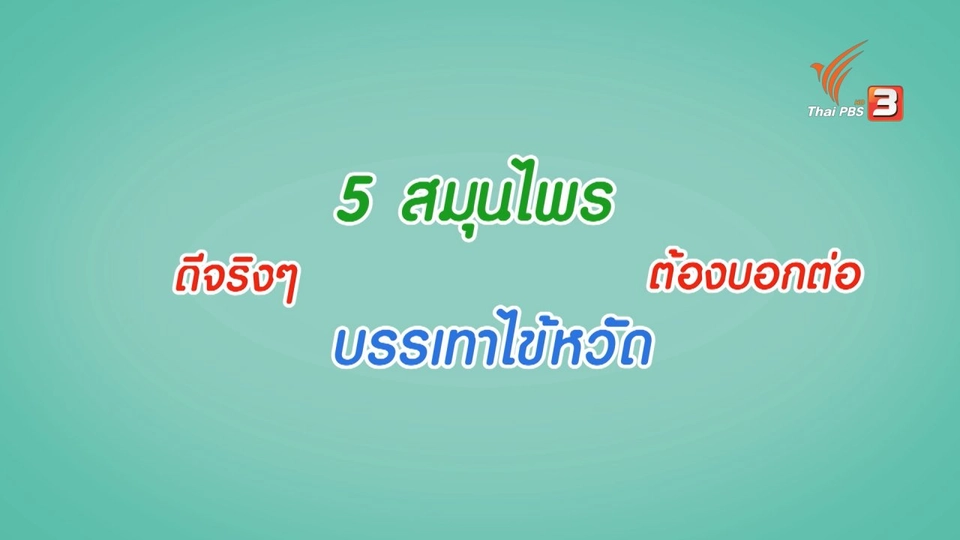 สมุนไพรดีต้องบอกต่อ