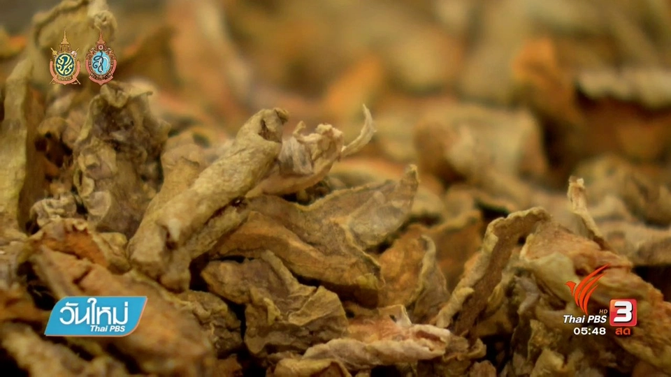 หญ้าหวาน หวานเพื่อสุขภาพจากธรรมชาติแท้ๆ