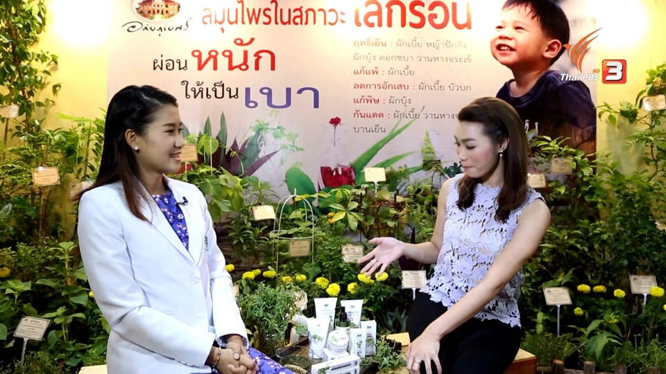 ผักเบี้ยใหญ่ สมุนไพรไทยช่วยหน้าเต่งตึง