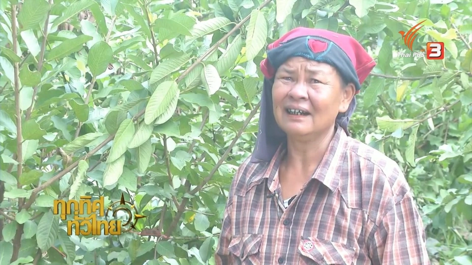 ประเด็นข่าว (7 ต.ค. 59)