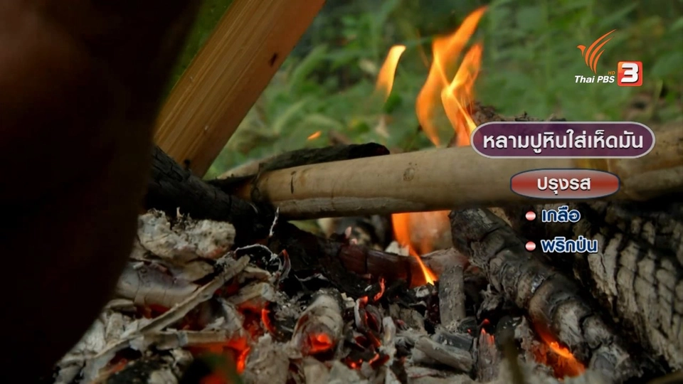 ตะลุยทั่วไทย : ปูหิน