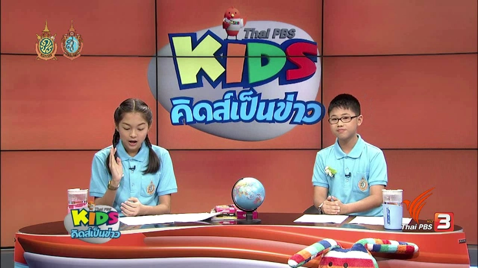 หมีโคอาลา