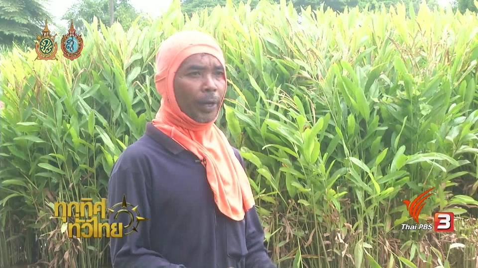 ประเด็นข่าว (16 ส.ค. 59)