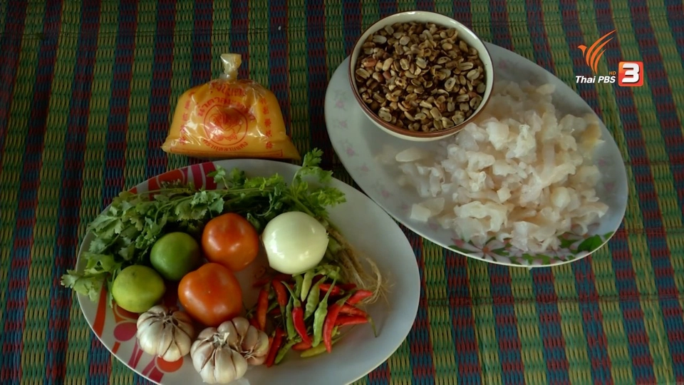 ตะลุยทั่วไทย : แมงกระพรุน