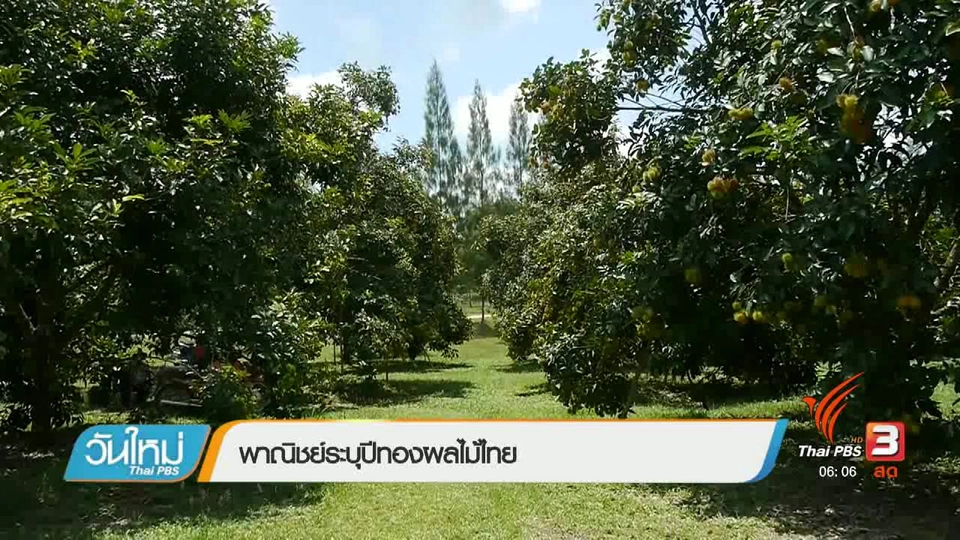 พาณิชย์ระบุปีทองผลไม้ไทย