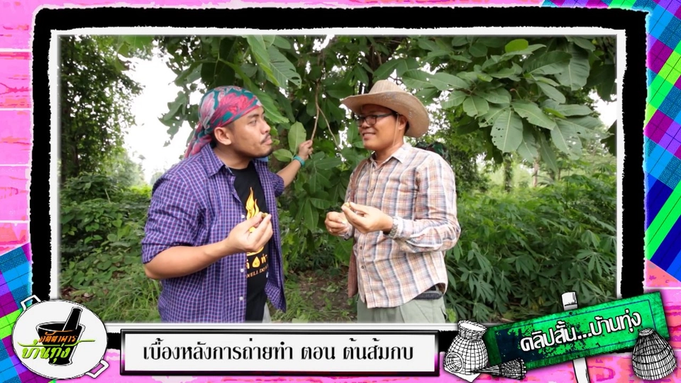 บุกป่าหาต้นส้มกบ