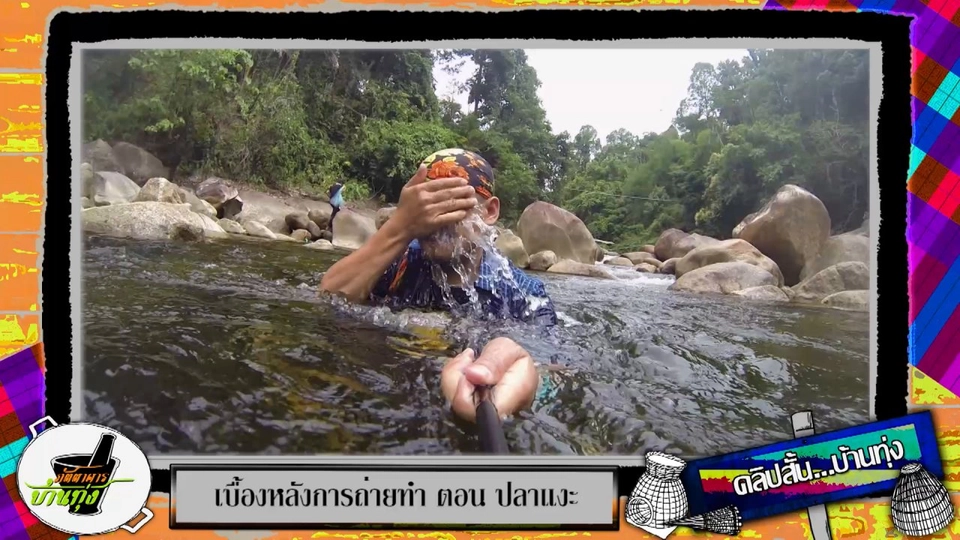 ลัดเลาะลำธารใสหาปลาแงะ