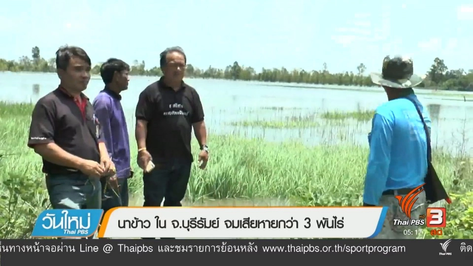 นาข้าวใน จ.บุรีรัมย์ จมเสียหายกว่า 3 พันไร่